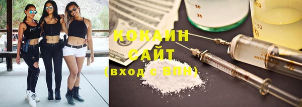 ПСИЛОЦИБИНОВЫЕ ГРИБЫ Абаза