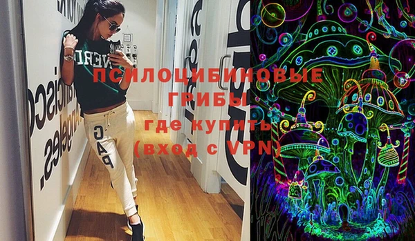 ПСИЛОЦИБИНОВЫЕ ГРИБЫ Абаза