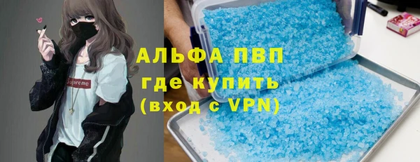 ПСИЛОЦИБИНОВЫЕ ГРИБЫ Абаза