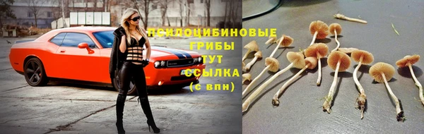 марки nbome Абинск