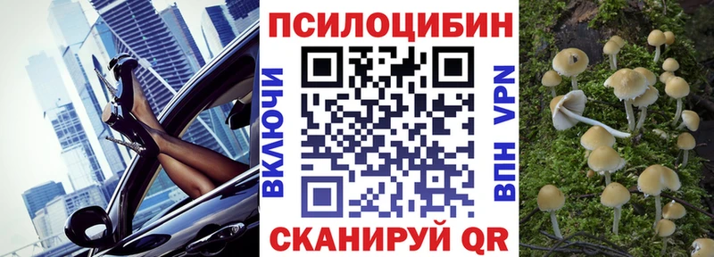Галлюциногенные грибы Cubensis  где продают наркотики  Фрязино 