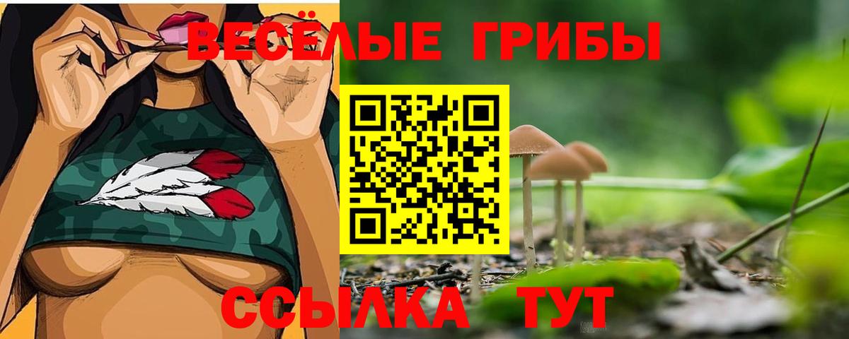 Галлюциногенные грибы MAGIC MUSHROOMS  Вход с VPN  Псилоцибиновые грибы мицелий  Фрязино 